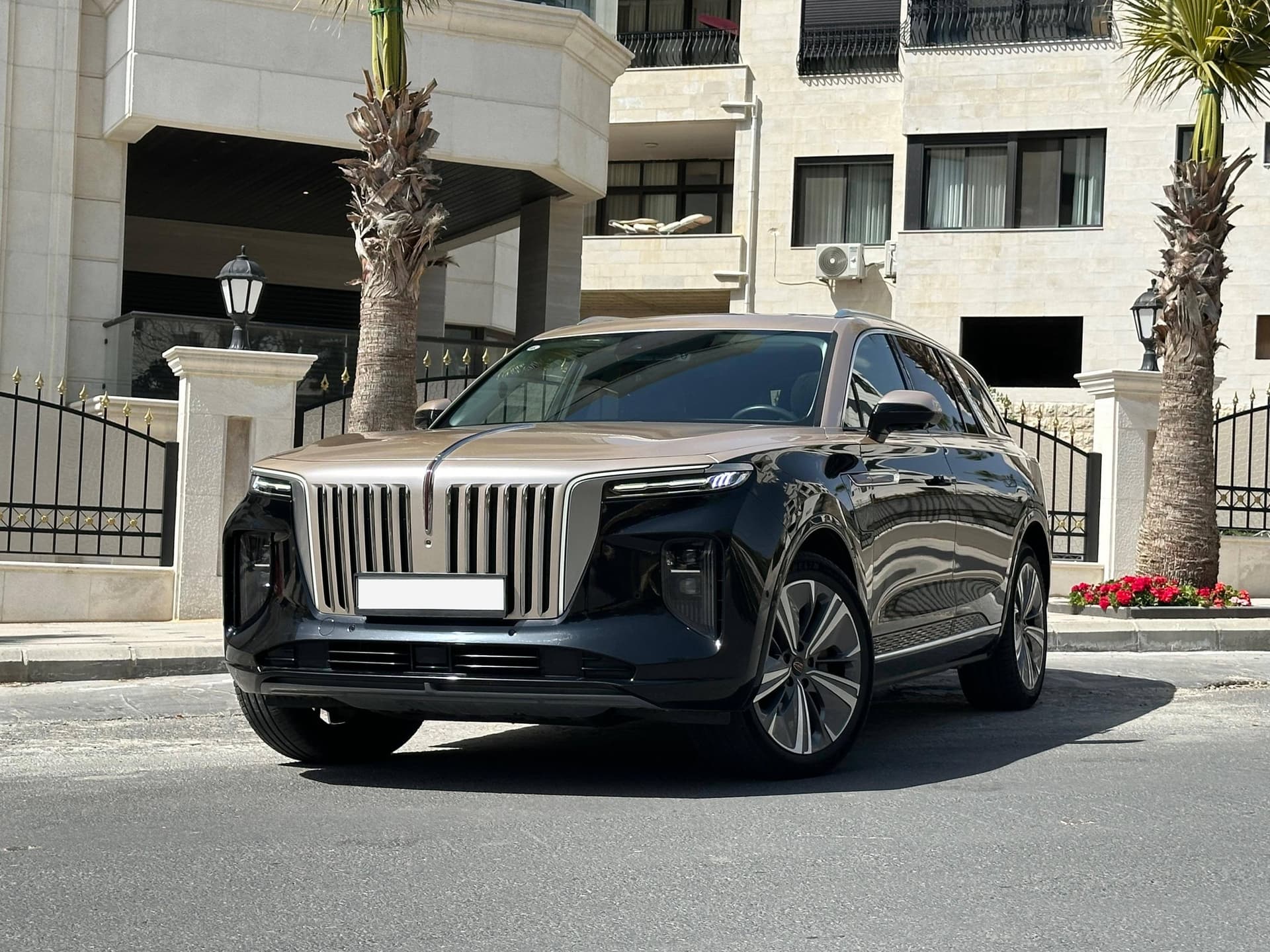 Hongqi E-HS9