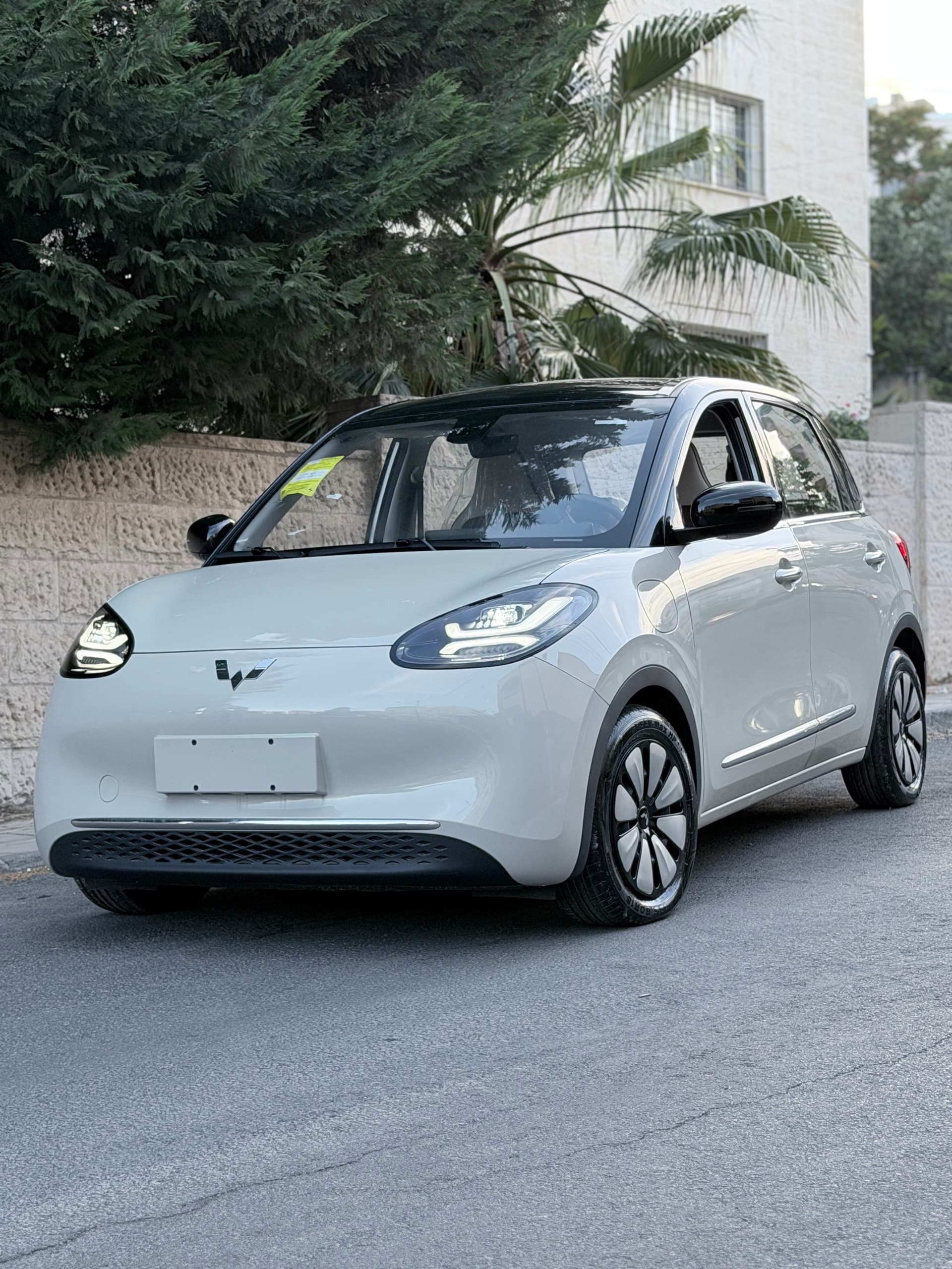 Wuling Bingo